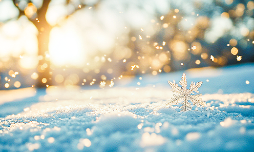 【喜報】中船風(fēng)帆“‘產(chǎn)改’賦能、助工成匠”工作結(jié)碩果